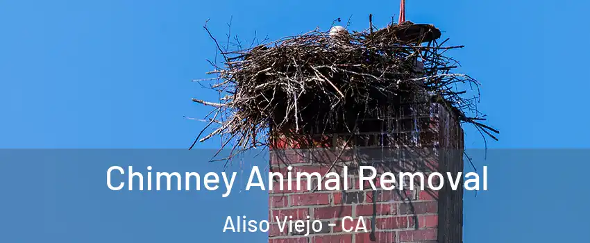 Chimney Animal Removal Aliso Viejo - CA