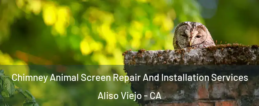  Chimney Animal Screen Repair And Installation Services Aliso Viejo - CA
