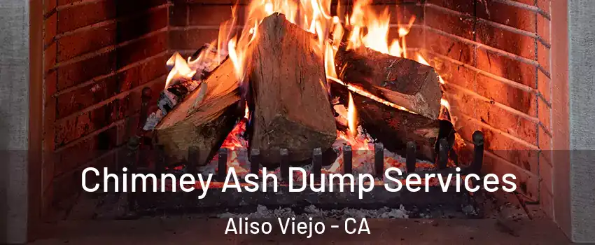  Chimney Ash Dump Services Aliso Viejo - CA
