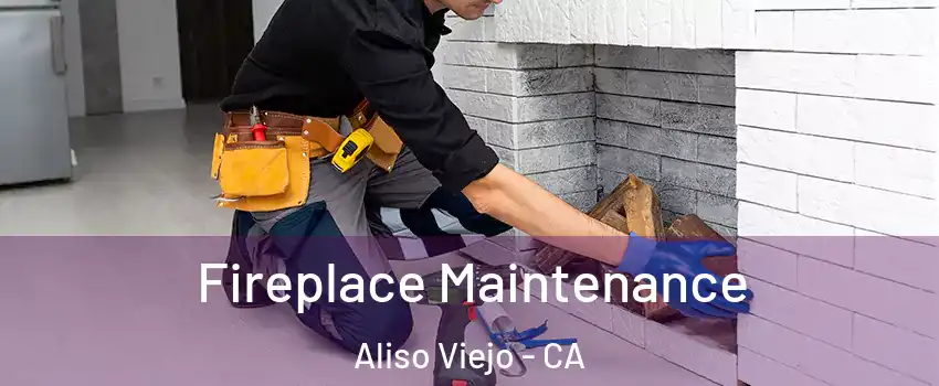  Fireplace Maintenance Aliso Viejo - CA