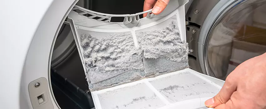 Best Dryer Lint Removal Company in Aliso Viejo, California