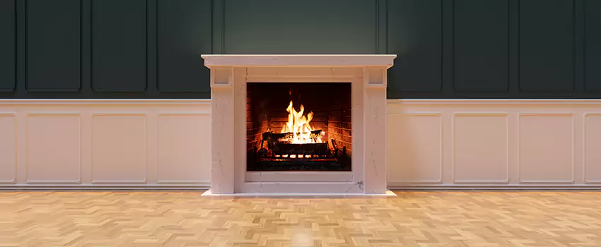 Napoleon Electric Fireplaces Inspection Service in Aliso Viejo, California