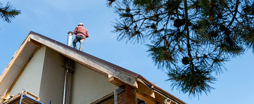 Birds Removal Contractors from Chimney in Aliso Viejo, CA
