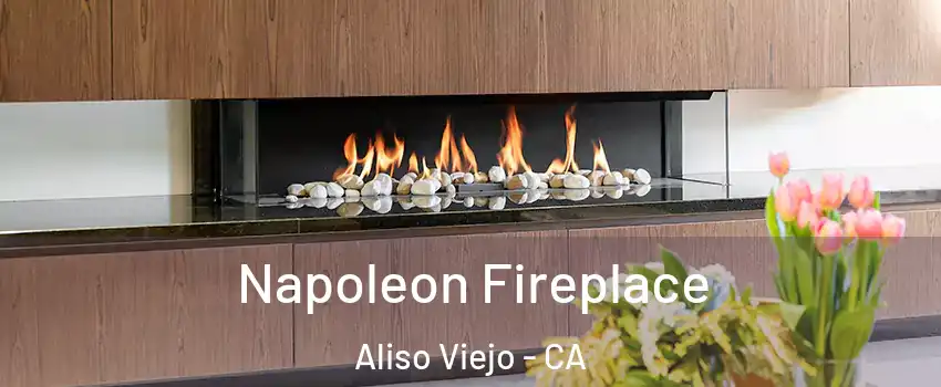  Napoleon Fireplace Aliso Viejo - CA